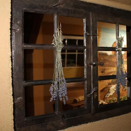 Ferienhaus Zur Kaktusinsel Сasa de vacaciones Harsleben